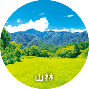 山林